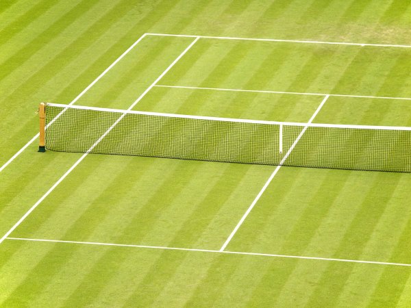 Wimbledon Tennis Grass Court