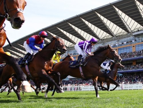 Royal Ascot Pavilion Restaurant Hospitality ticket package for Horse Racing fans - image