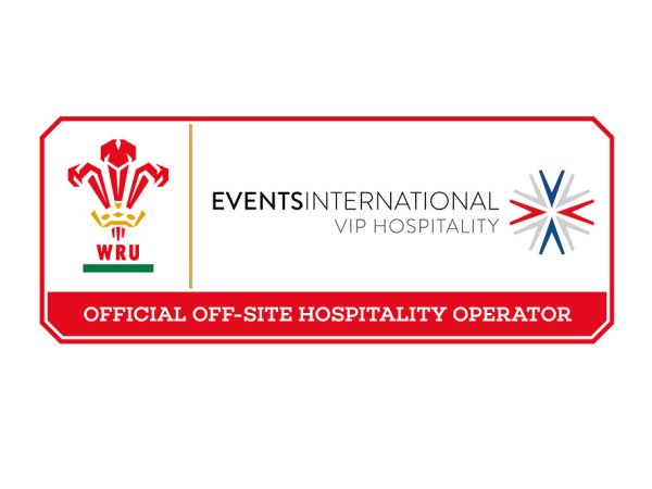 Wales v South Africa - Match ticket