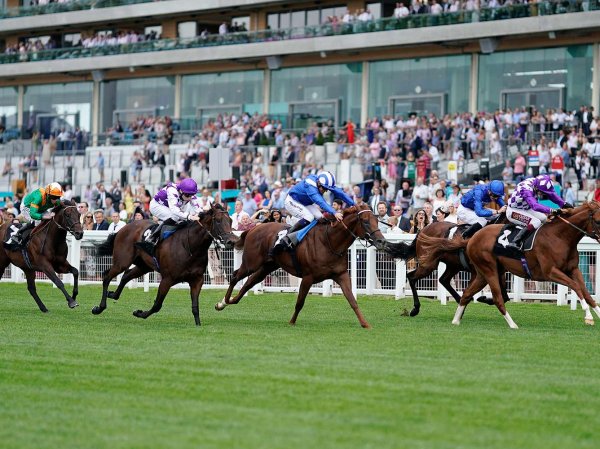 RACE DAY INCLUSIONS
