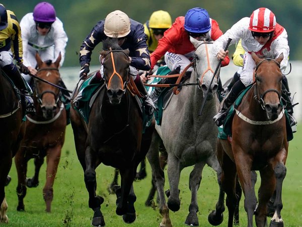 RACE DAY INCLUSIONS