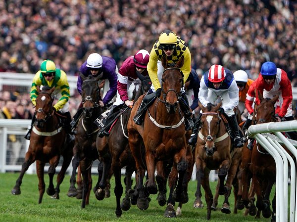 Cheltenham Hospitality
