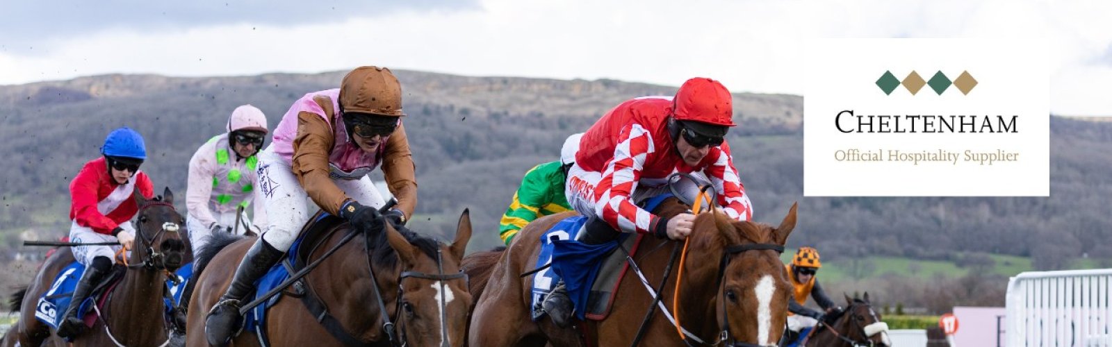 Cheltenham Festival hospitality packages - VIP ticket packages for Cheltenham races web.jpg