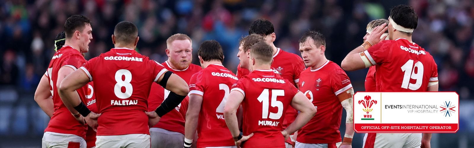 Welsh Rugby Union Autumn Nations Series 2025 ticket packages - Wales v New Zealand at the Principality Stadium