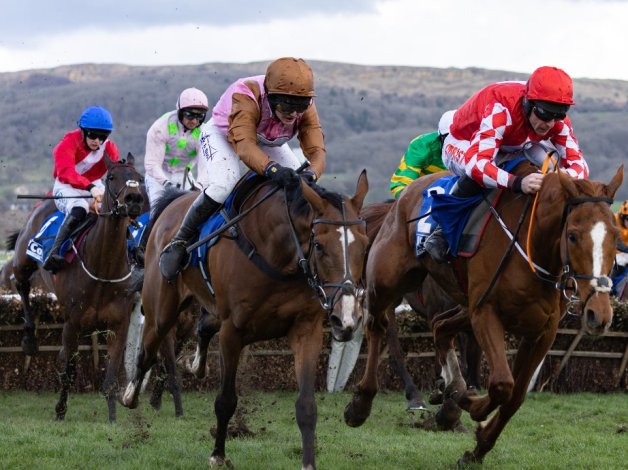 Cheltenham Festival hospitality packages - VIP ticket packages for Cheltenham races web.jpg