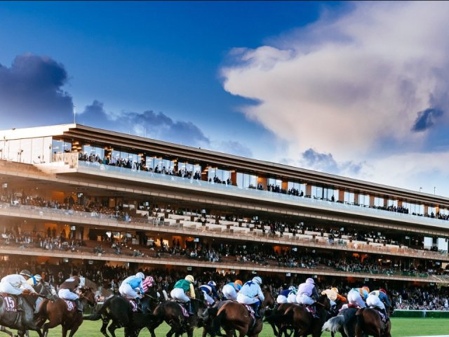 Prix de l'Arc de Triomphe Corporate Hospitality Ticket Packages for horse racing fans