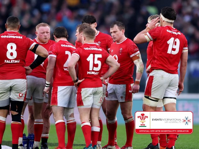 2025 Wales Autumn Nations official hospitality packages - Wales v New Zealand image