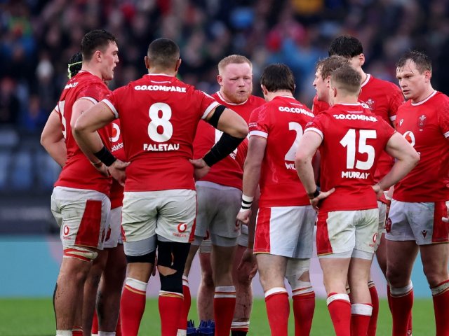 2025 Wales Autumn Nations official hospitality packages - Wales v New Zealand image