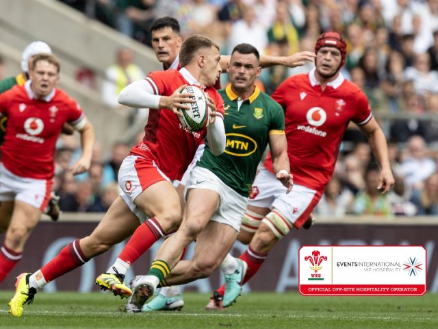 2025 Wales Autumn Nations official hospitality packages - Wales v South Africa image