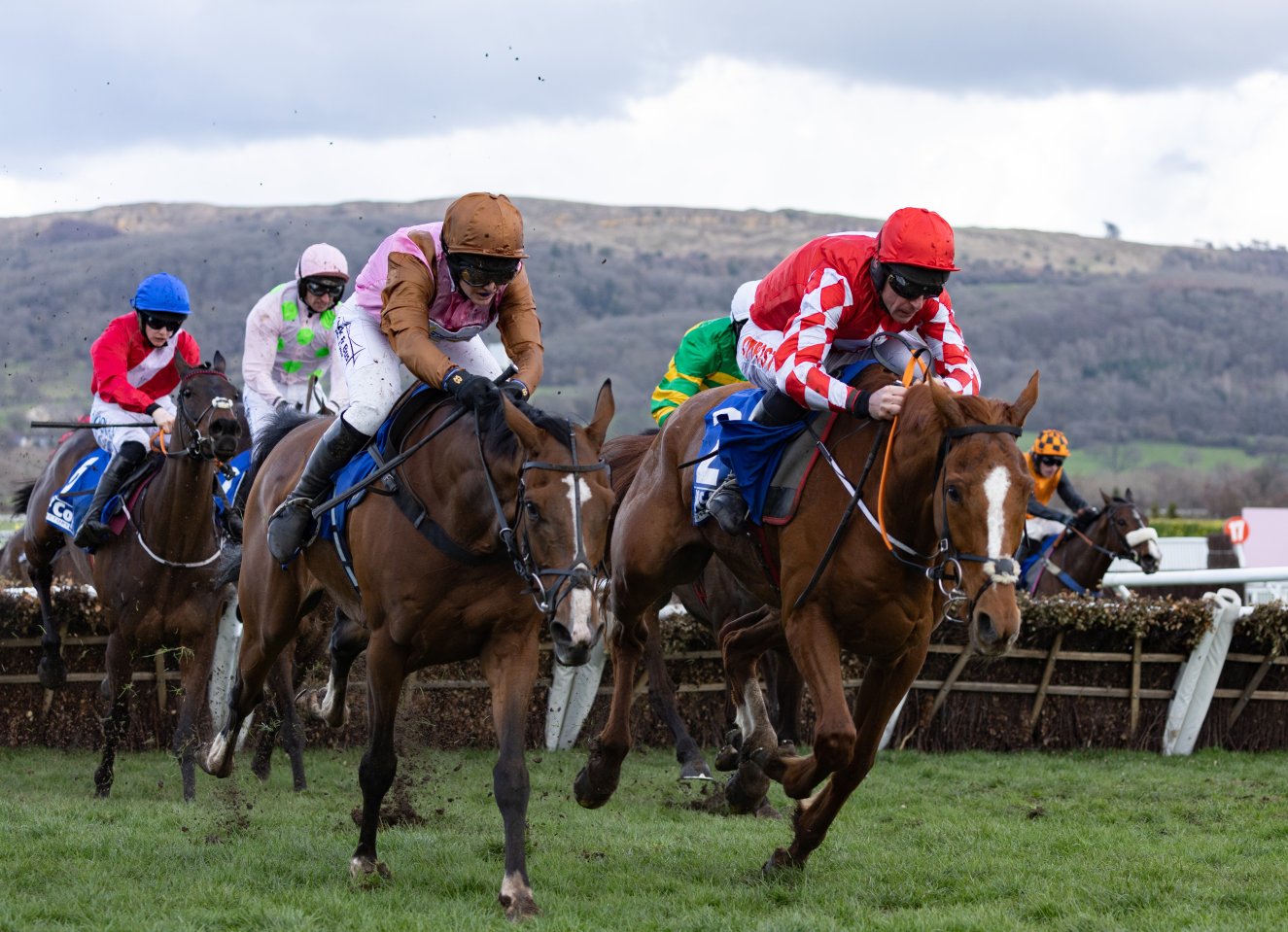 The Cheltenham Festival ticket and hospitality packages