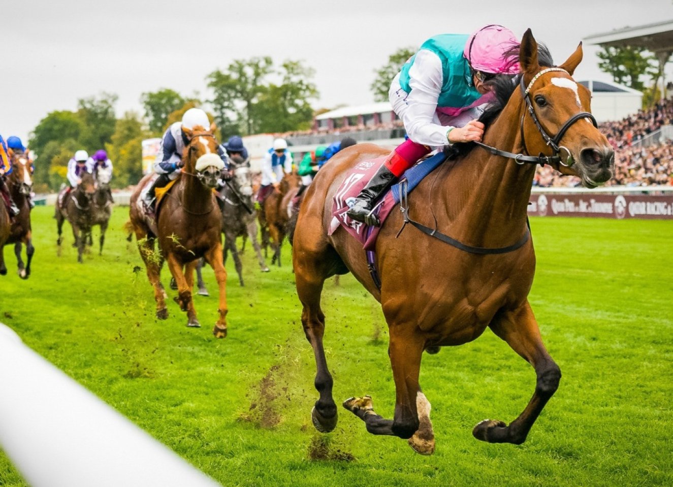 Sign up and get the latest information about our hospitality packages for the world’s top sporting events - Events International