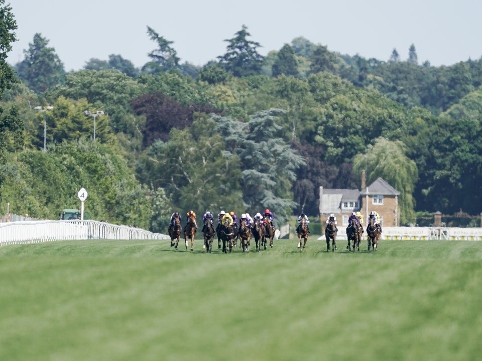 Royal Ascot 2024 The Gallery Hospitality Packages to Royal Ascot