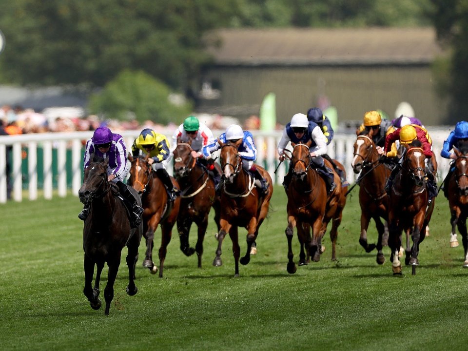 Horse Racing Vip Box Ascot Racedays - Horse Racing VIP Hospitality Packages | Events ...